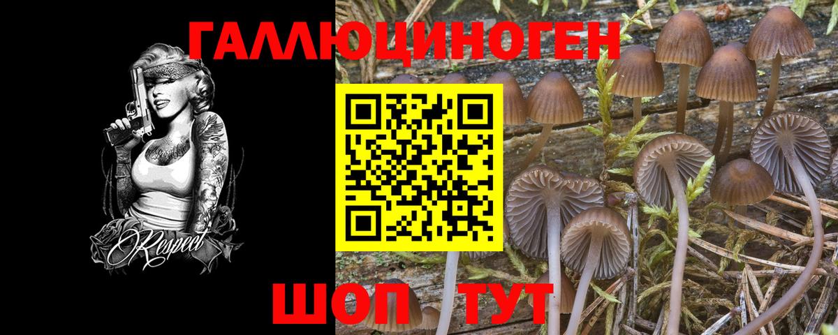 Псилоцибиновые грибы GOLDEN TEACHER  Псилоцибиновые грибы Psilocybe  Туапсе  Вход с VPN 