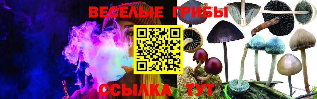 Псилоцибиновые грибы ЛСД Туапсе